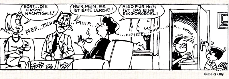 Kosinus, der Computer-Kid