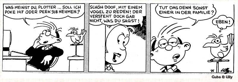 Kosinus, der Computer-Kid