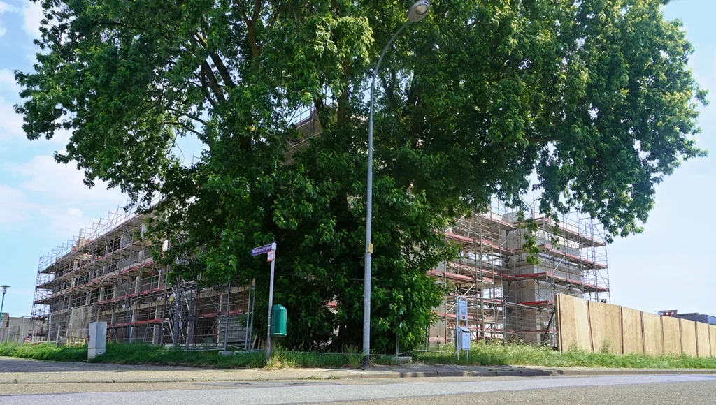 Bauphase vom Rohbau PC-Grundschule Weeze Ende Mai 2026